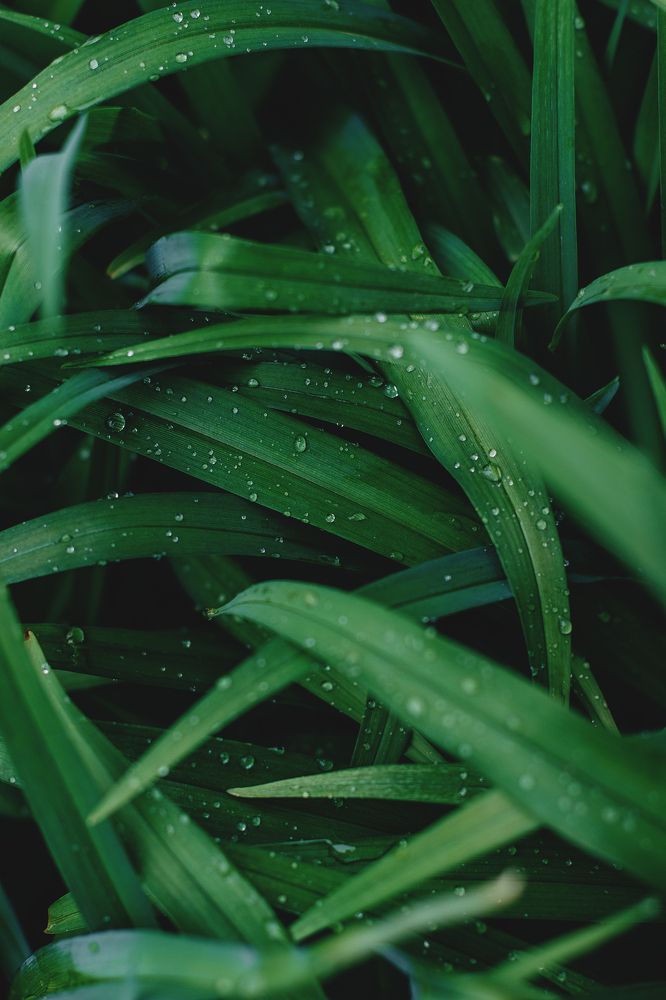 Photograph by Татьяна