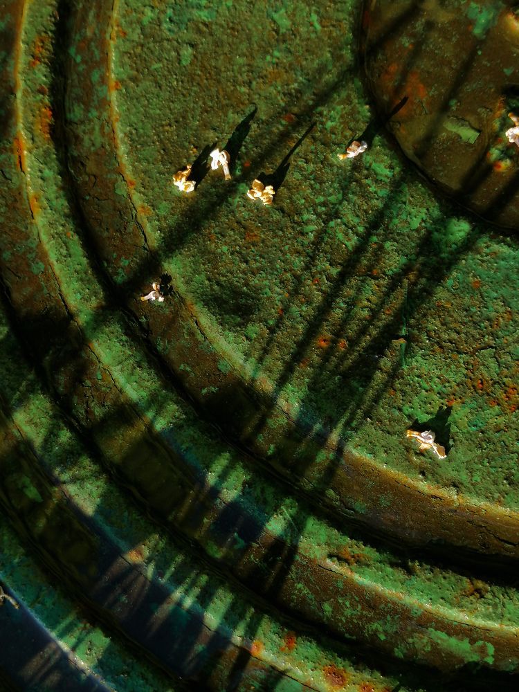 Photograph by Марцева Татьяна