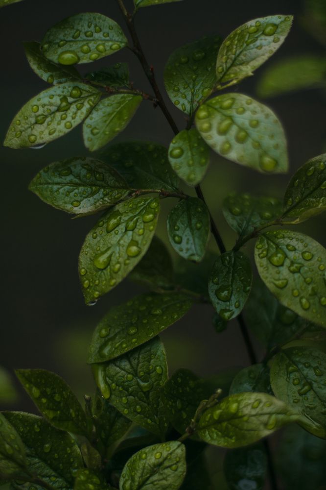 Photograph by Татьяна