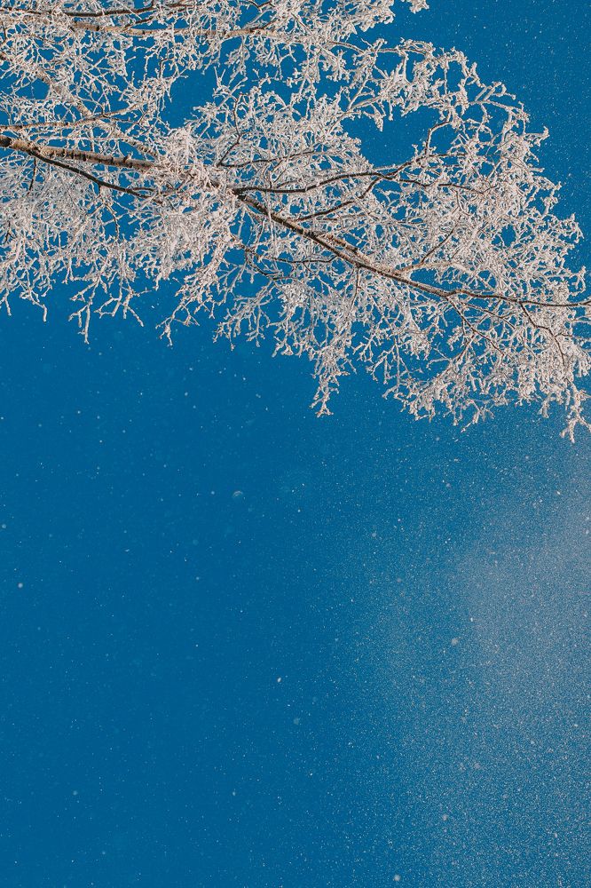 Photograph by Татьяна