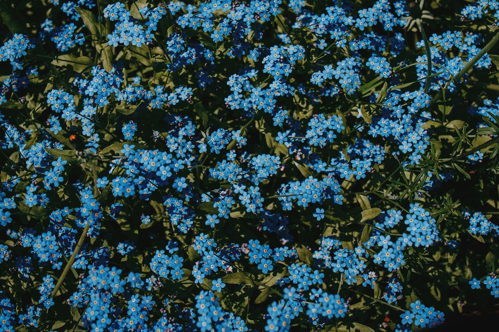 Photograph by Татьяна