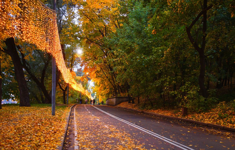 Photograph by Olga Mendosa