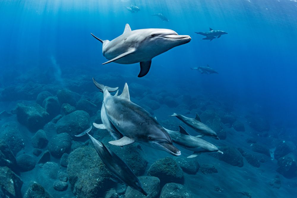 Photograph by KURASHIMA DAISUKE