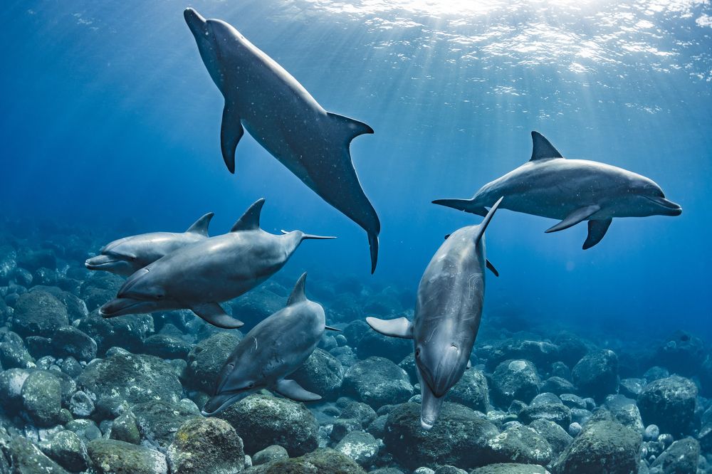 Photograph by KURASHIMA DAISUKE