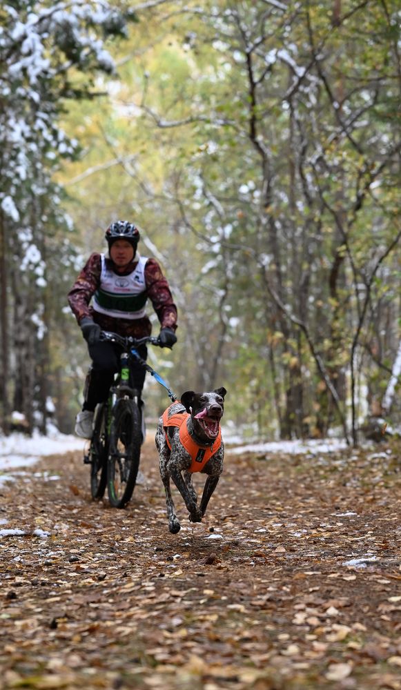 Photograph by Лариса Ерданова