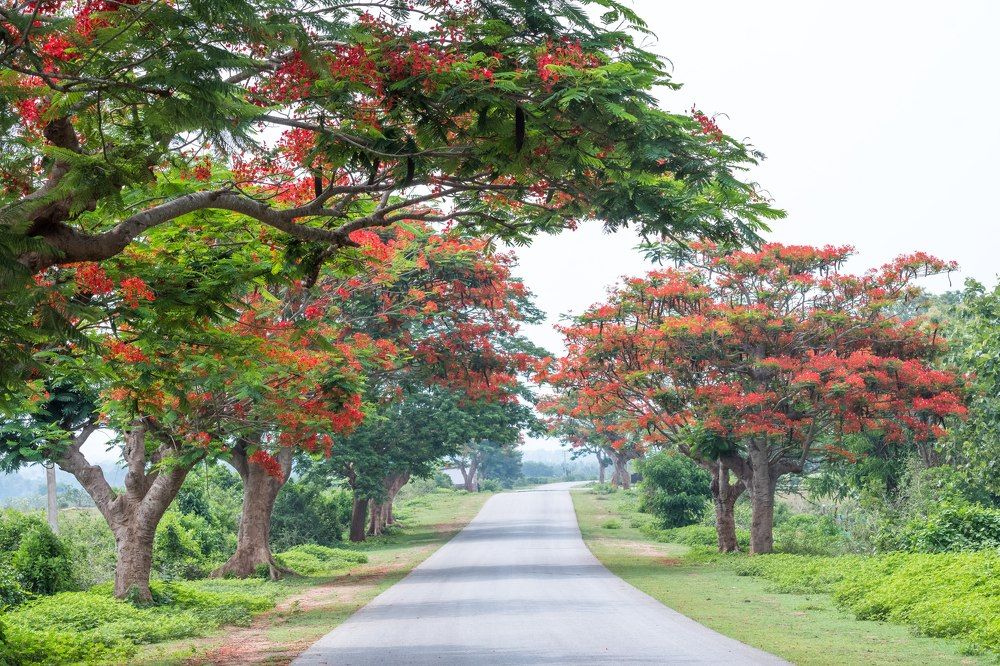 Photograph by Ranjith Kumar