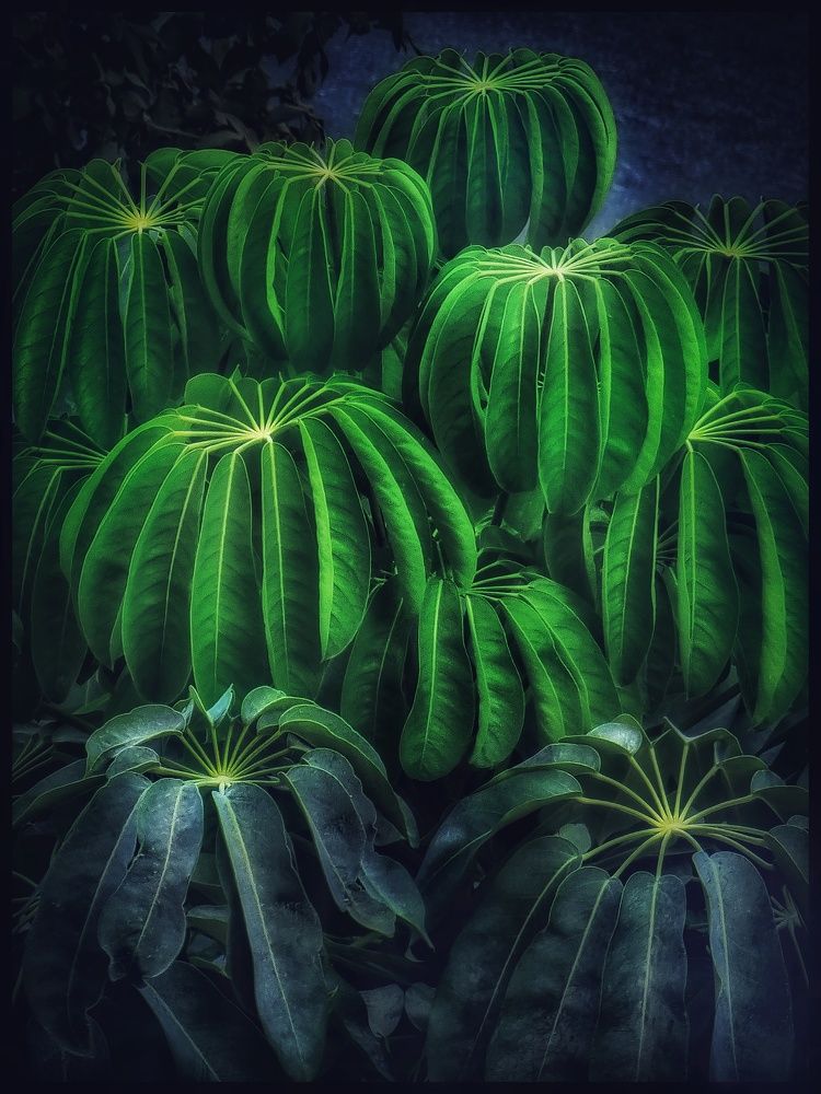 Photograph by Polina Svirida