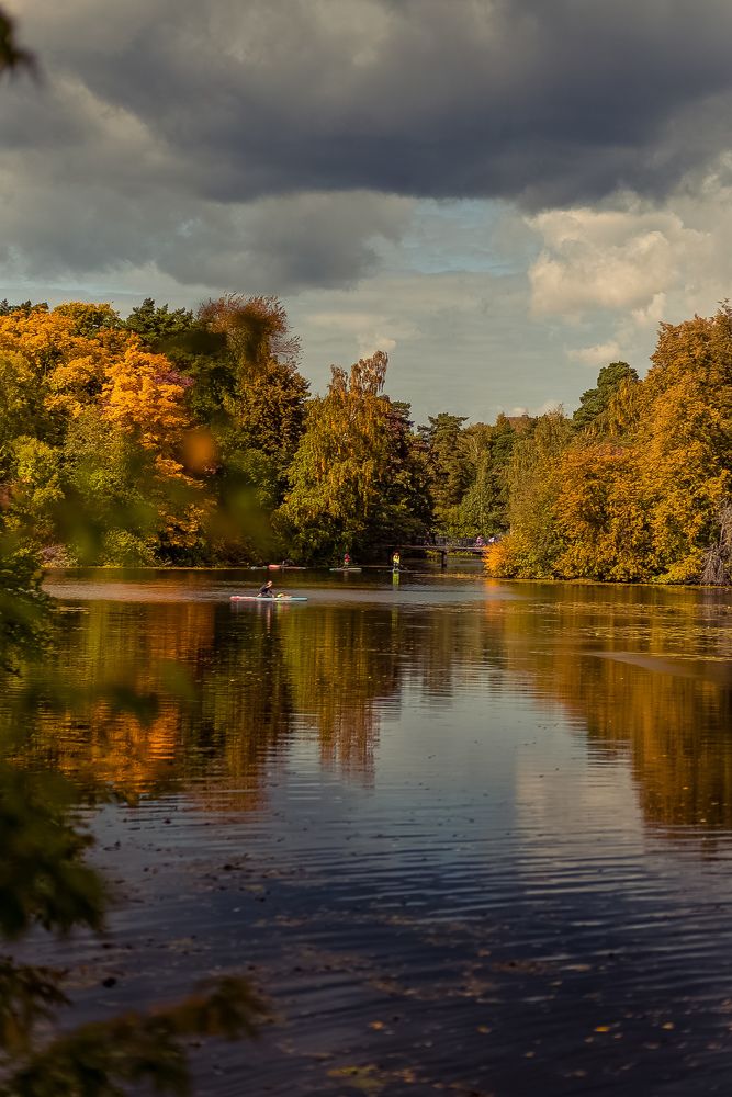 Серебряный бор