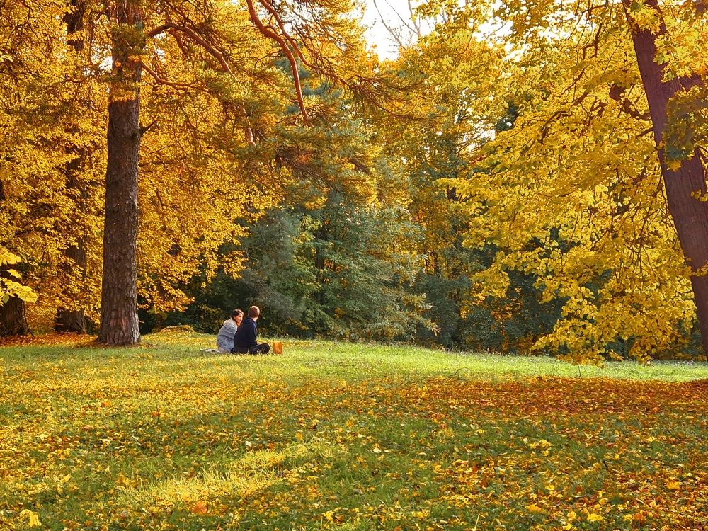 Photograph by Елена Квасова