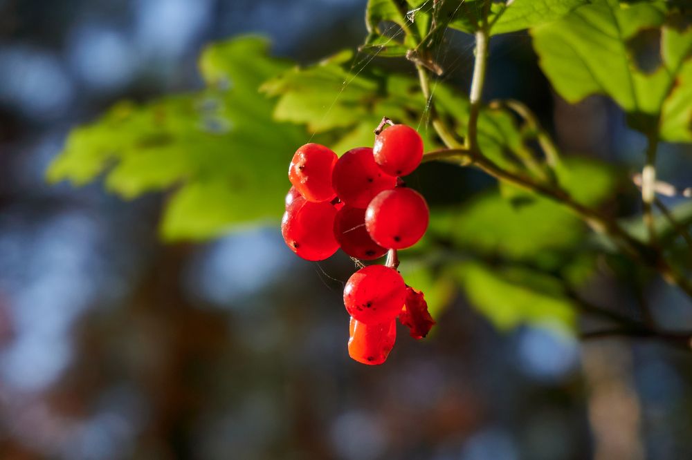 Photograph by Владимир