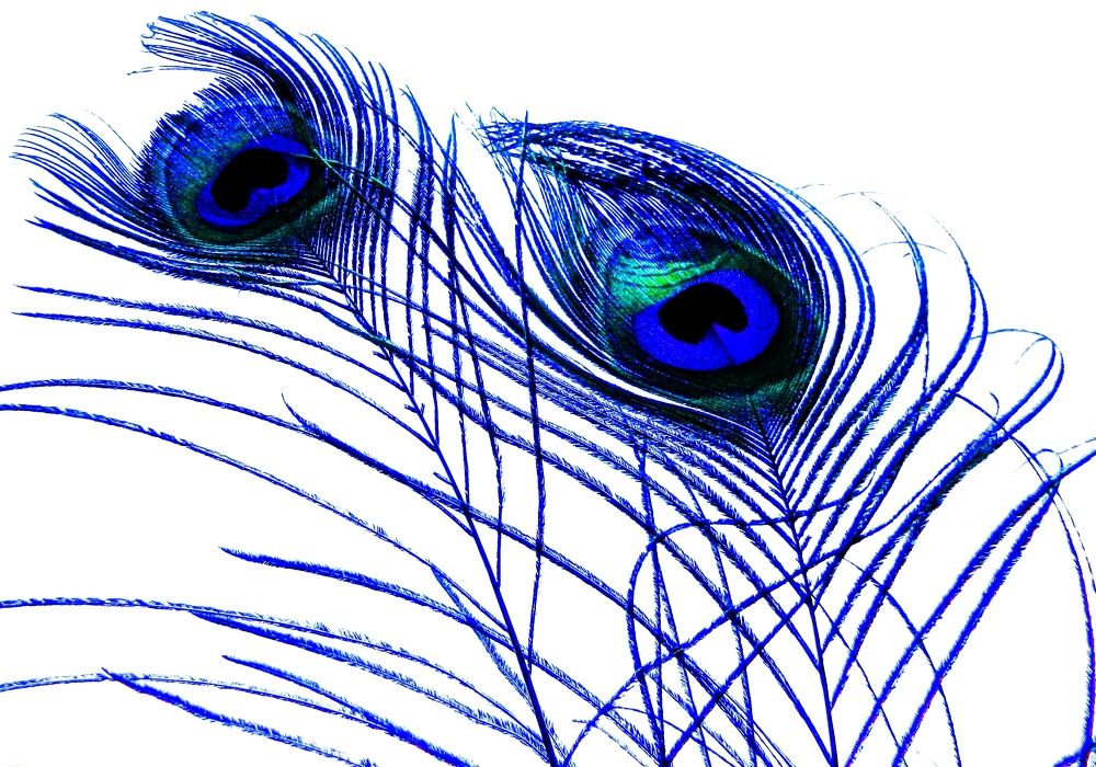 Photograph by Viviana García