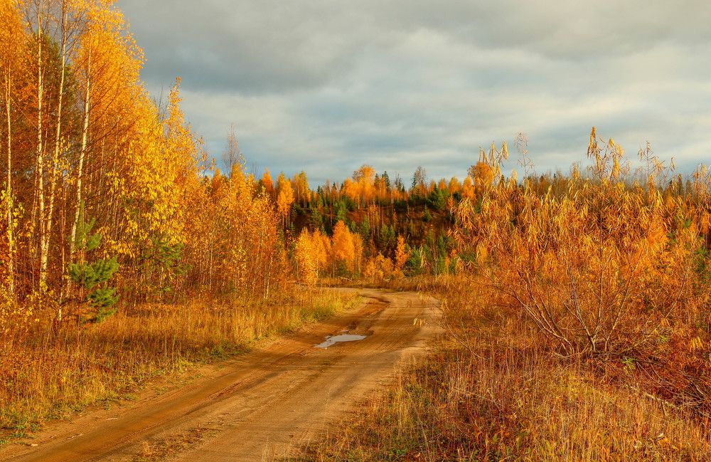 Photograph by Александр Трифанов