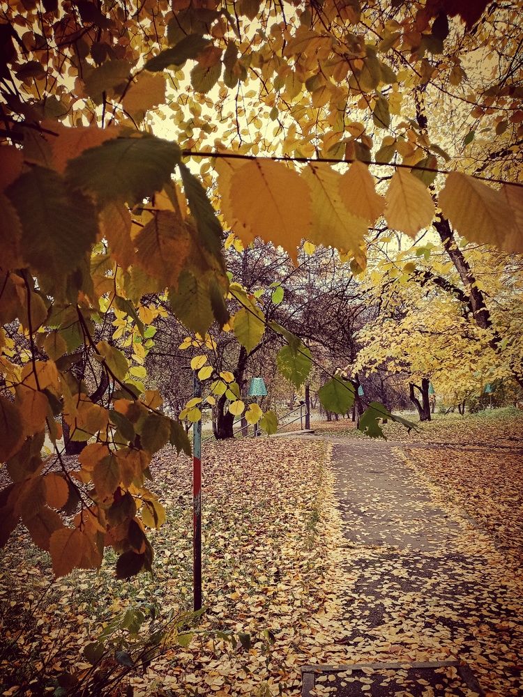 Photograph by Владимир Сушкин