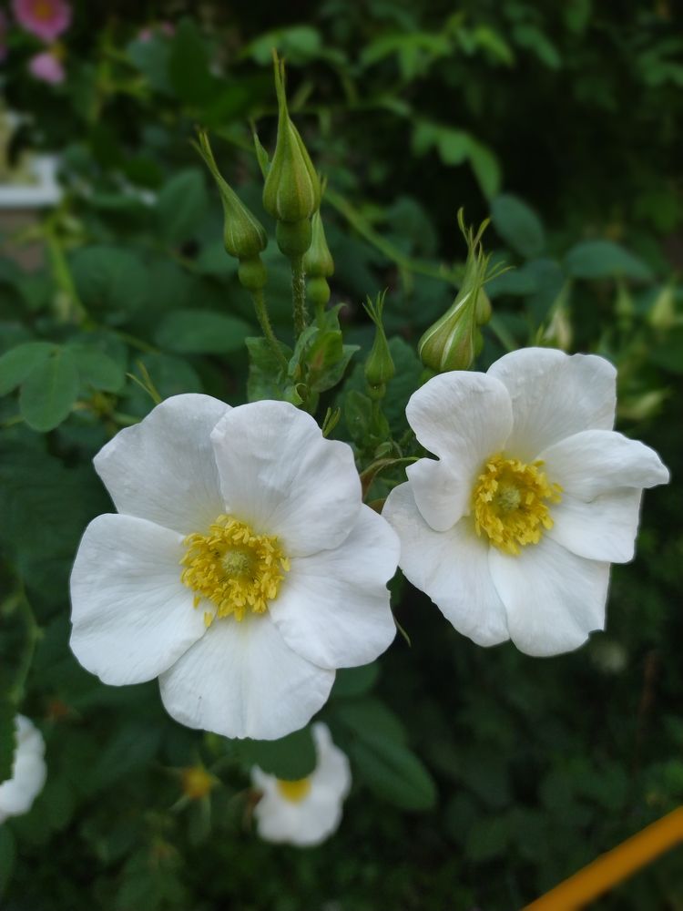 Photograph by Татьяна