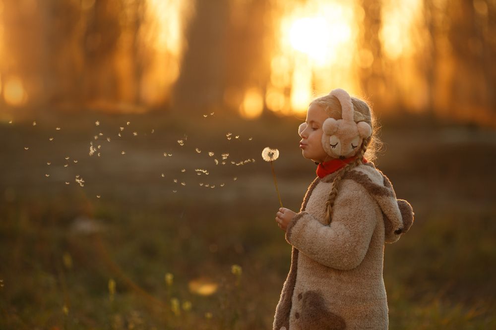 Последний одуванчик