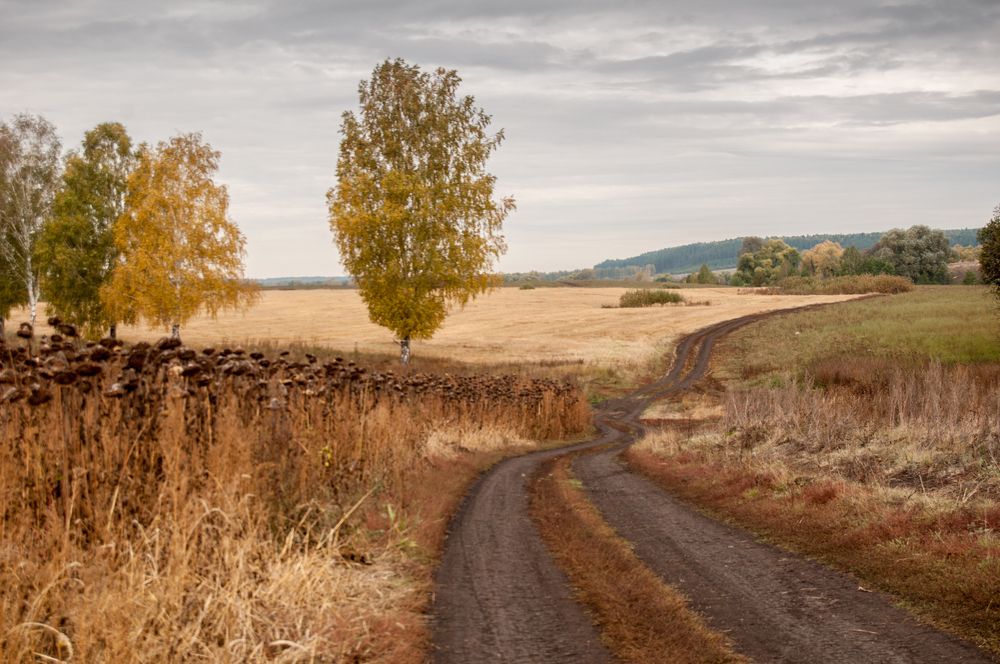Photograph by Новиков Владимир