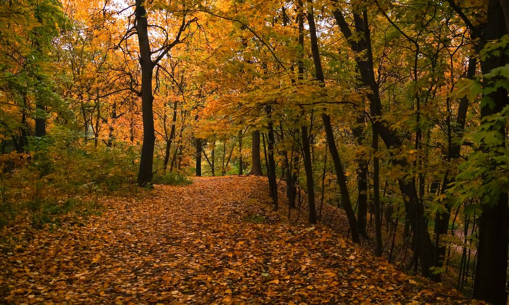 Photograph by Olga Mendosa