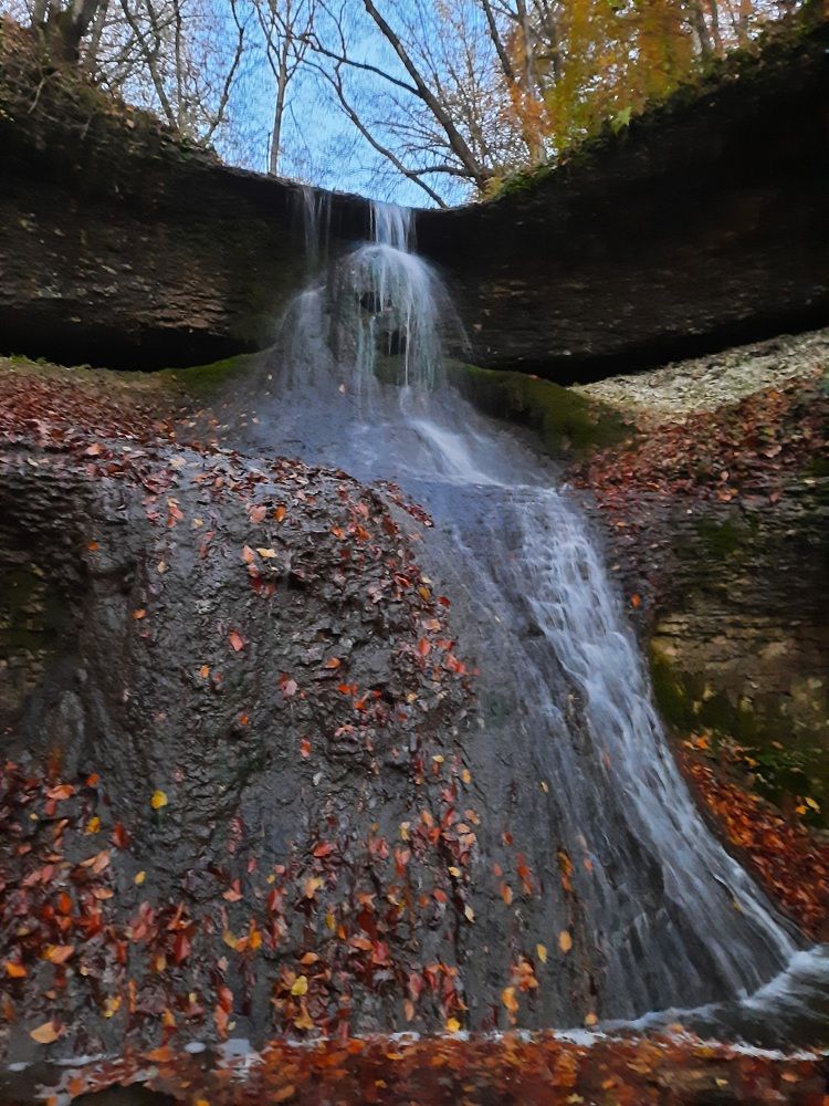 Photograph by Елена