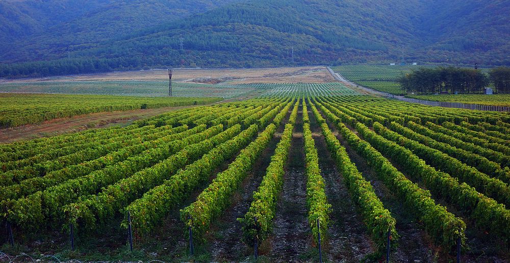 Фотография автора Сергей Гречихин