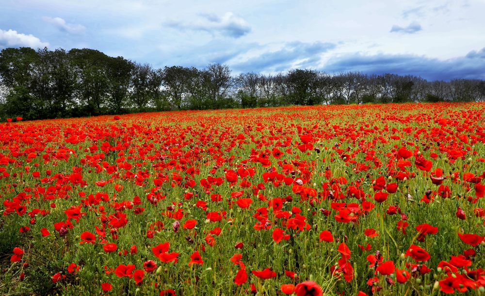 Photograph by Валерия Маркова