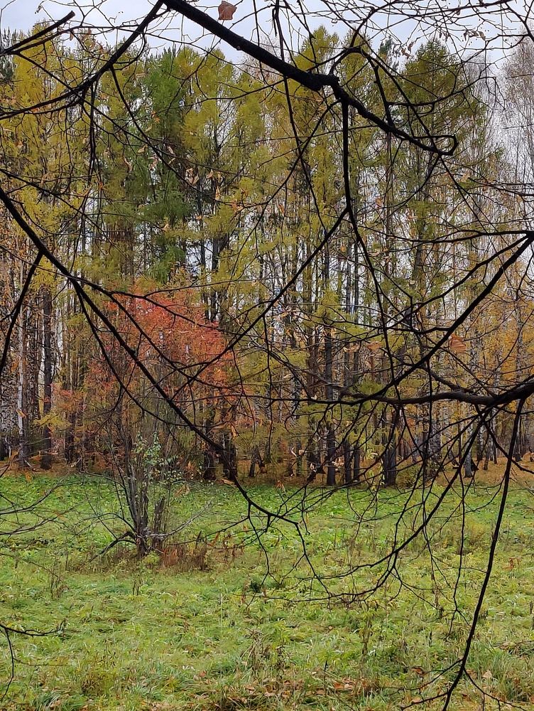 Photograph by Татьяна Гулакова