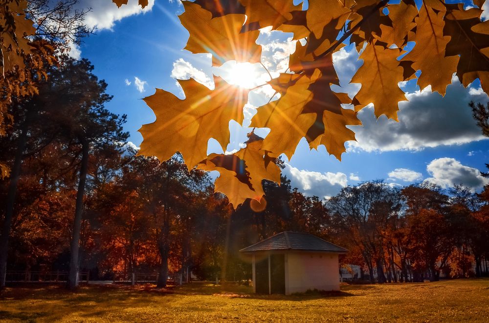 Photograph by Вероника Романенко