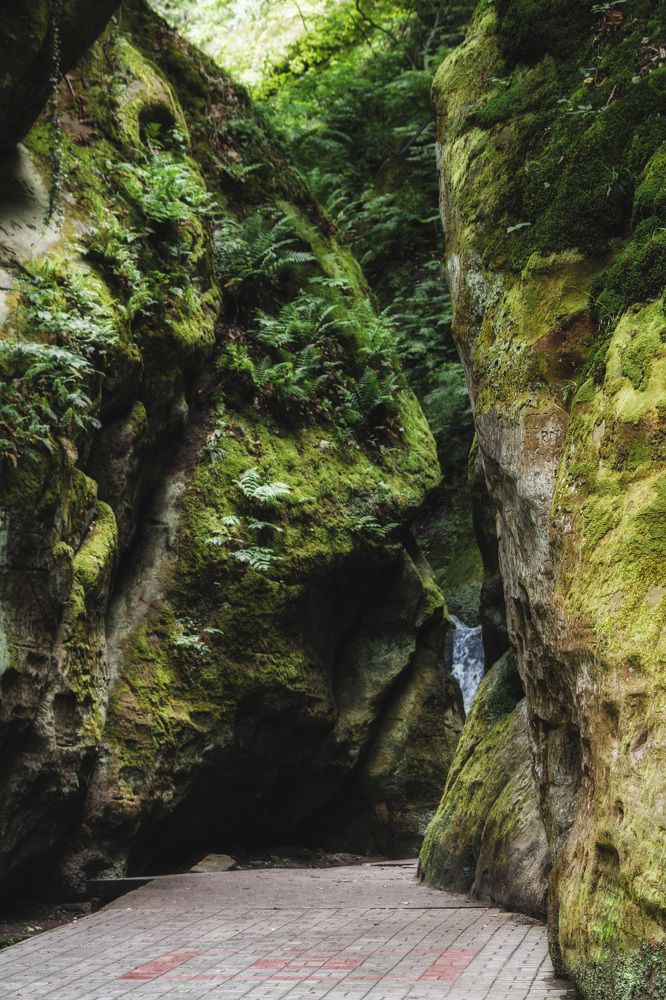 Photograph by Ольга Сельницына