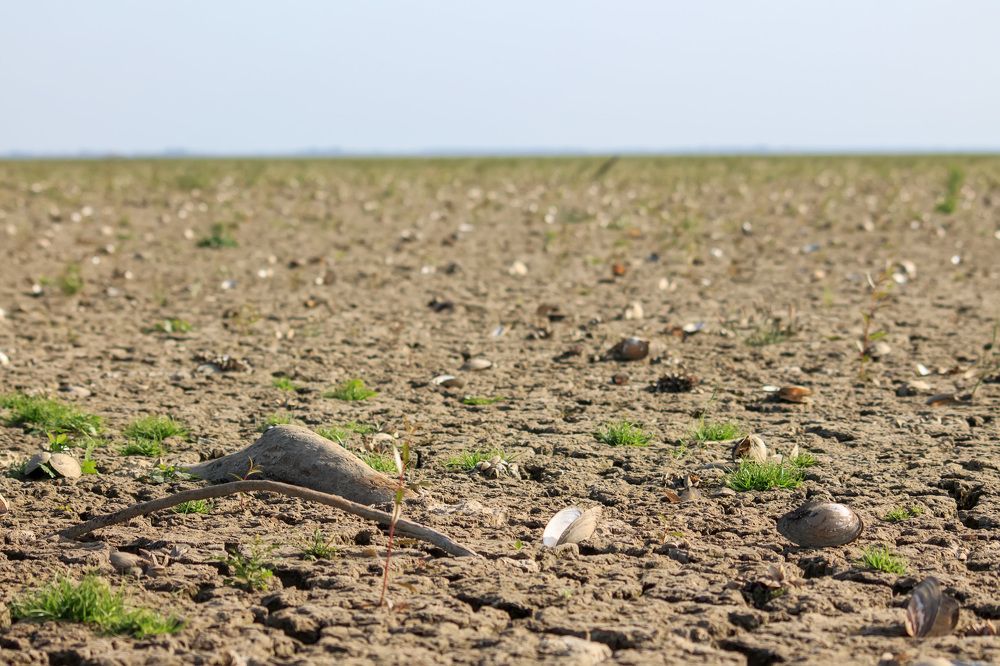 Засуха в Краснодарском водохранилище