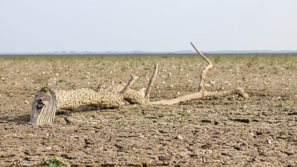 Засуха в Краснодарском водохранилище