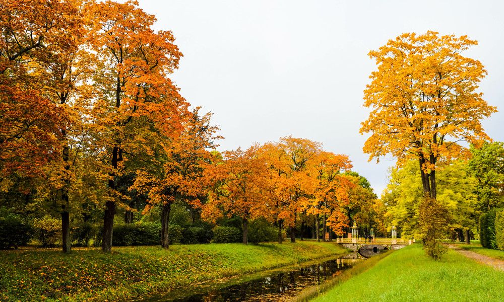 Photograph by Михаил Бояркин