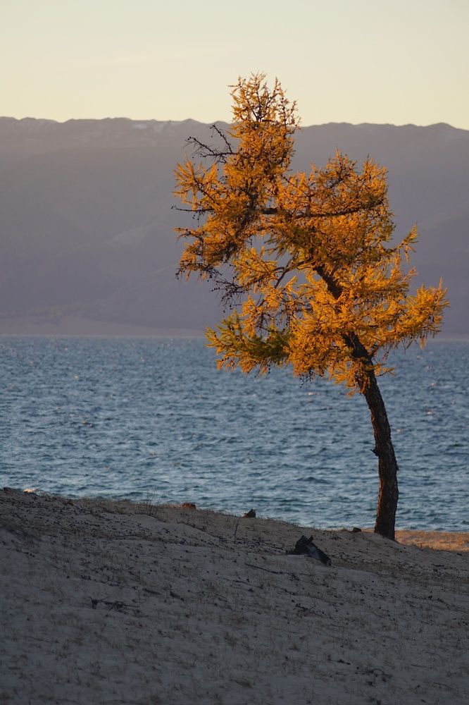 Photograph by Анастасия Скворцова