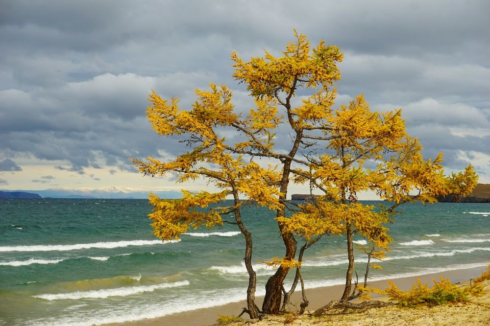 Озеро Байкал