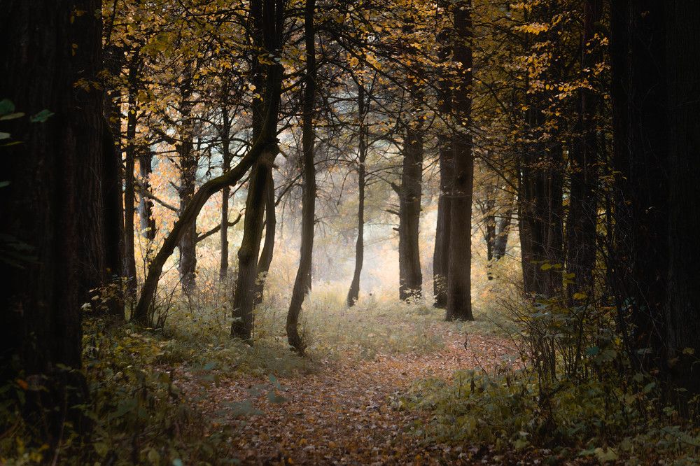 Photograph by Александр Ходакин