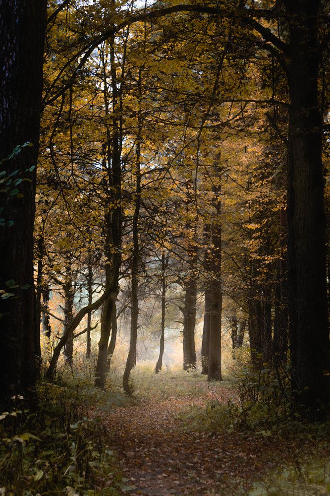 Photograph by Александр Ходакин