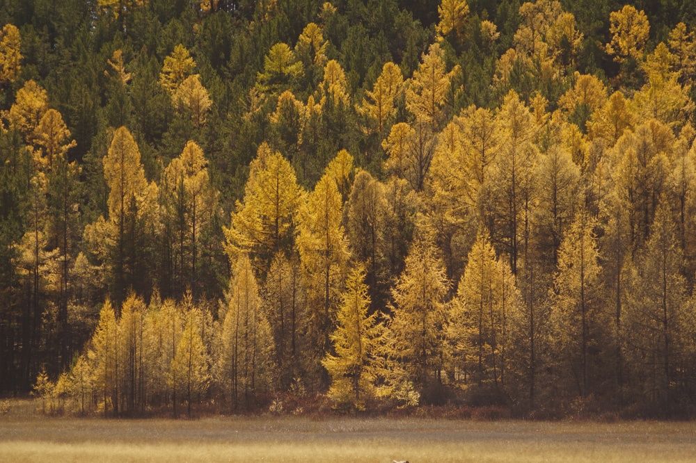 Photograph by Анастасия Скворцова