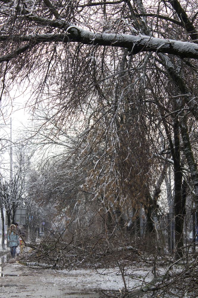 Photograph by Ольга Сельницына