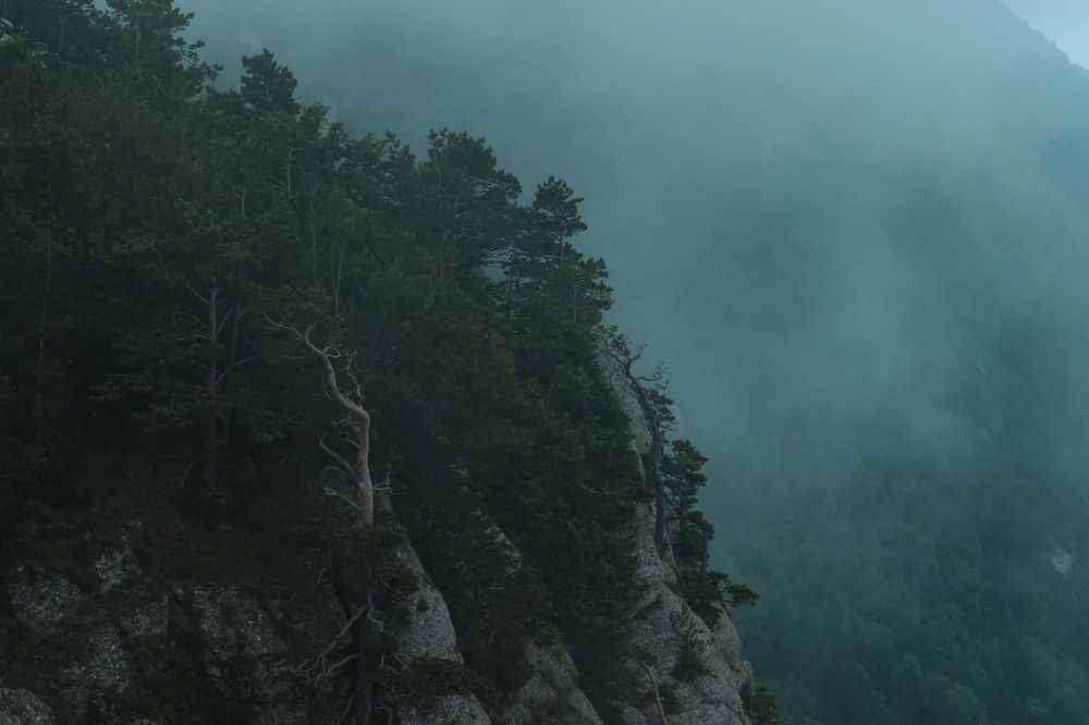 Photograph by Роман