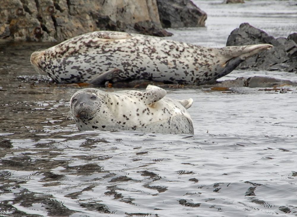 Photograph by София Гавриловна Вотякова