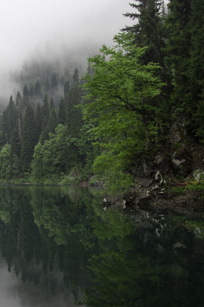 Photograph by Роман