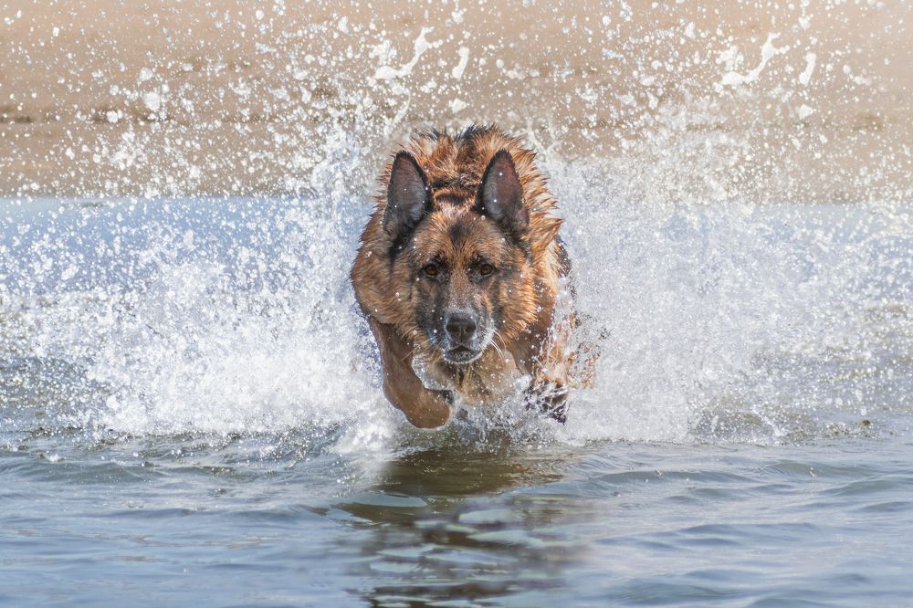 Photograph by Iuliia Kuznetcova