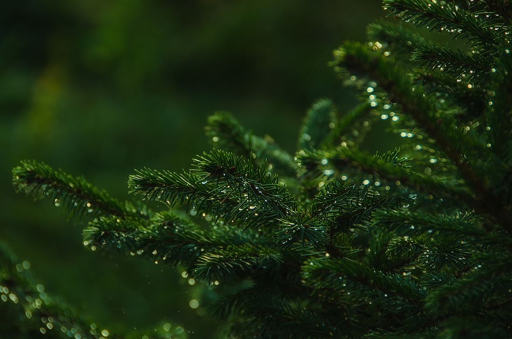 Photograph by Даниил Марков