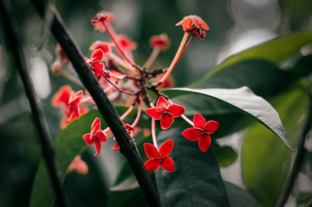 Photograph by Gulam Mohiuddin Chandiwala