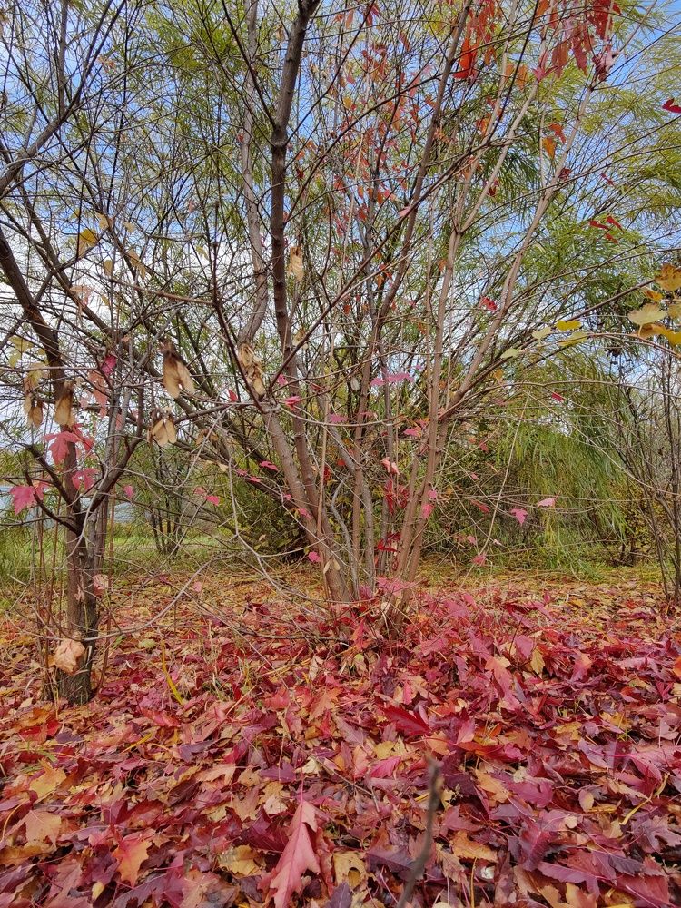 Photograph by Татьяна Гулакова