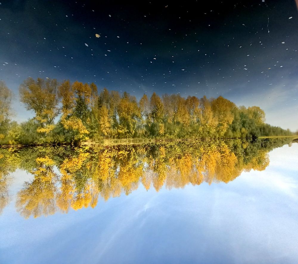 Фотография автора Любовь Харина