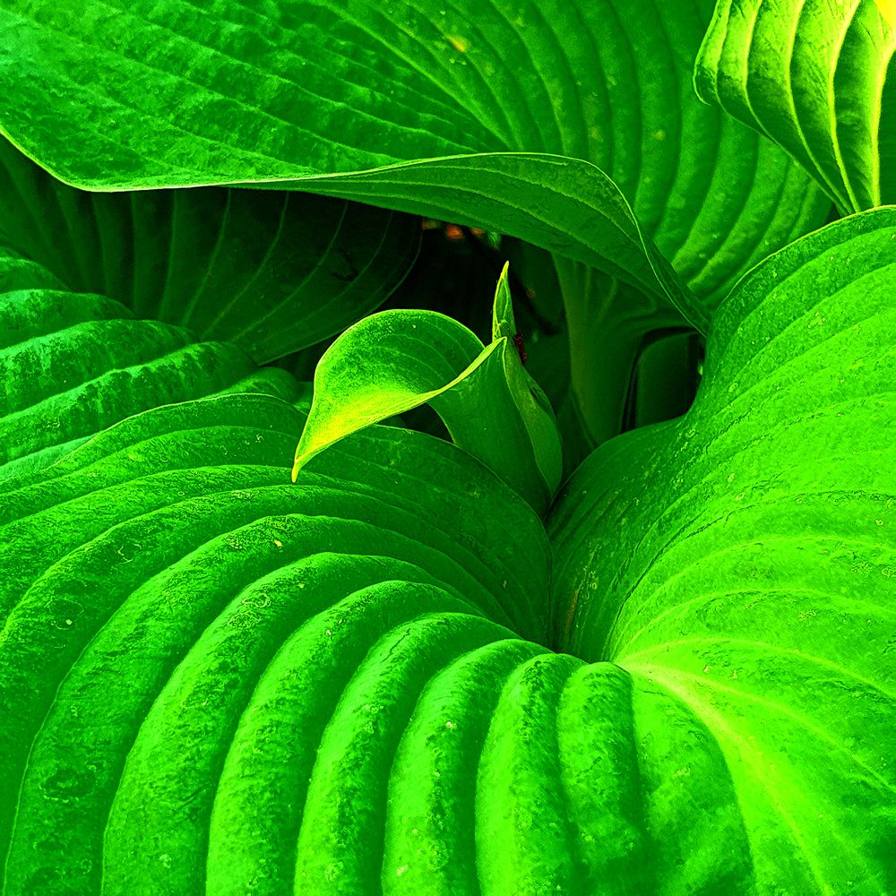 Photograph by Александр Тепляков