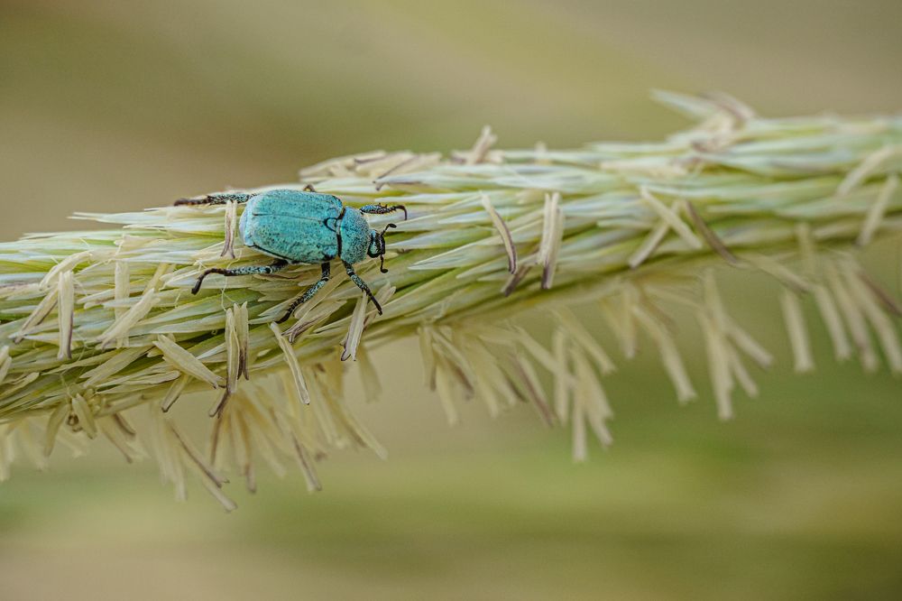 Photograph by Valdis Serzhans