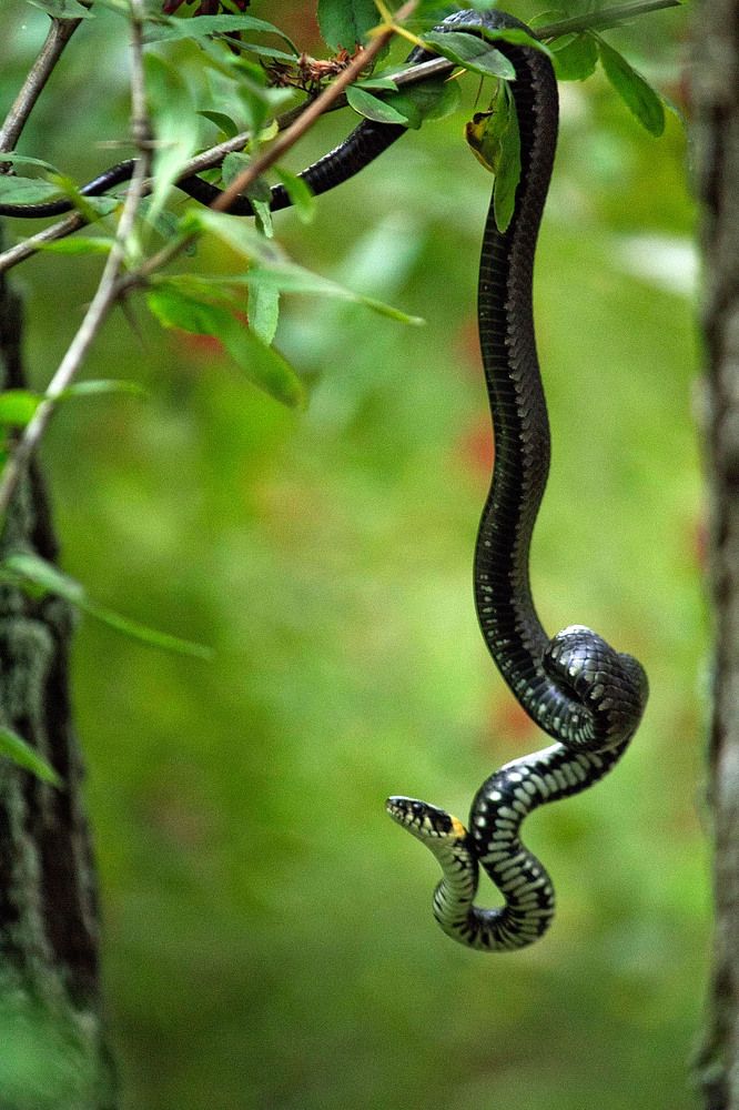 Photograph by Оксана