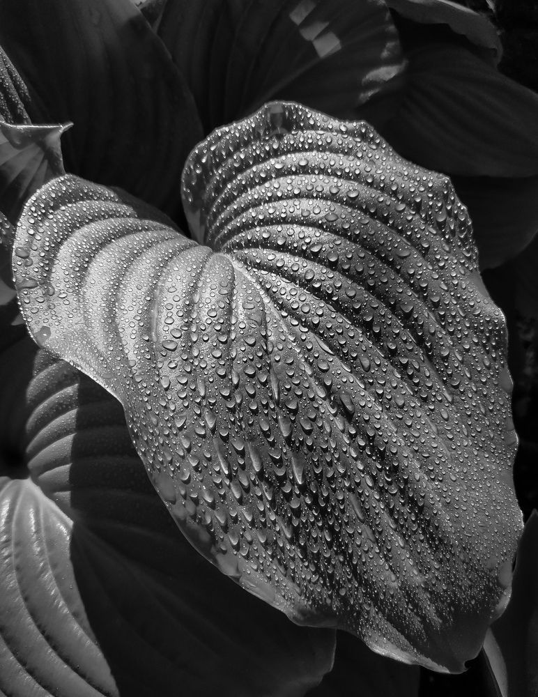 Photograph by Александр Панин