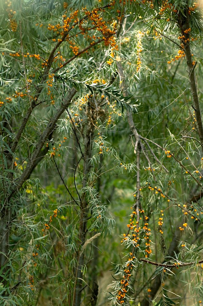 Photograph by Оксана