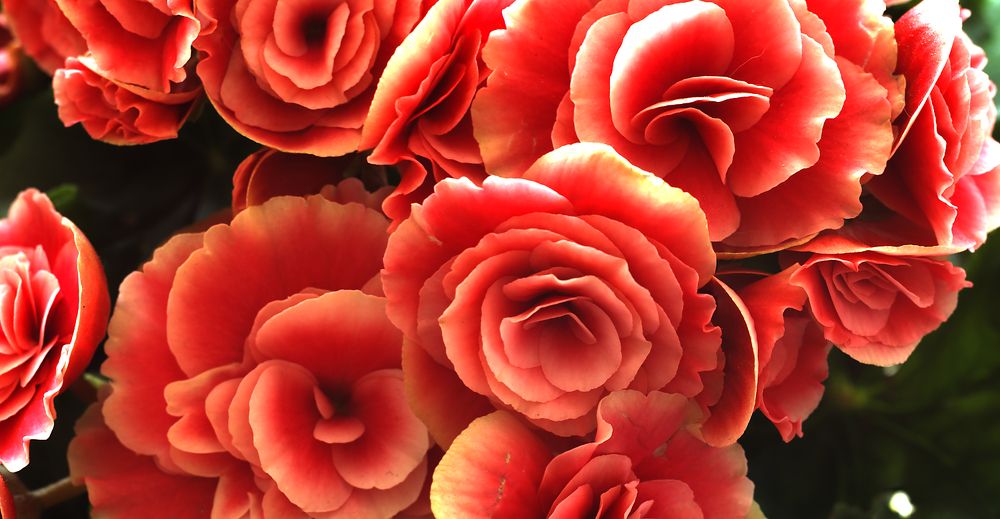 Photograph by Aleksei Degtjarjov